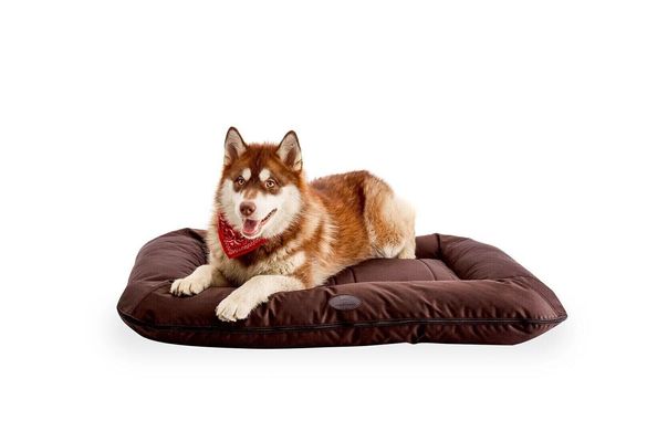 Вологостійкий лежак-понтон Harley&Cho Lounger Waterproof для собак середніх і великих порід HC-3200025 фото