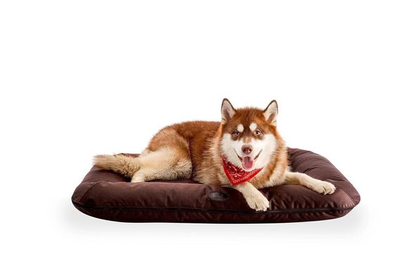 Вологостійкий лежак-понтон Harley&Cho Lounger Waterproof для собак середніх і великих порід HC-3200033 фото