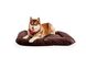 Влагостойкий лежак-понтон Harley&Cho Lounger Waterproof для собак средних и крупных пород HC-3200025 фото 3