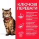 Сухой корм для взрослых котов с чувствительным пищеварением и кожей Hill's Science Plan Feline Adult Sensitive Stomach & Skin с курицей Hills_604074 фото 3