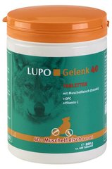 Таблетки для укрепления суставов LUPO Gelenk 40 Tabletten (таблетки), цена | Фото