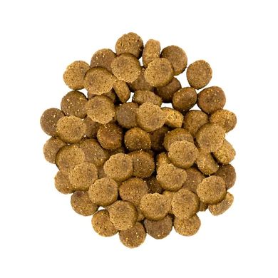 Сухой корм для собак средних пород Savory Medium Breed Fresh 1 кг (индейка и ягненок) Savory-30259 фото