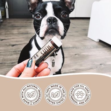 Бальзам для кожи Skin Soother Natural Dog Company 4.25мл стик ND-SKSR-01 фото