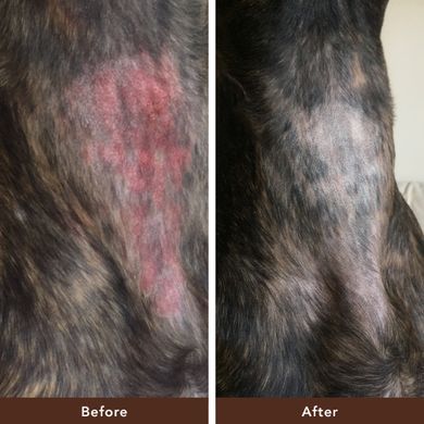 Бальзам для кожи Skin Soother Natural Dog Company 4.25мл стик ND-SKSR-01 фото