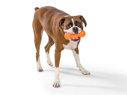 Іграшка для собак West Paw Rumpus Small Tangerine ZG080TNG фото