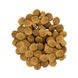 Сухий корм для собак середніх порід Savory Medium Breed Fresh 1 кг (індичка та ягня) Savory-30259 фото 3