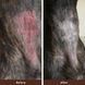 Бальзам для кожи Skin Soother Natural Dog Company 4.25мл стик ND-SKSR-01 фото 3