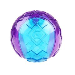 Іграшка для Собак Gigwi Ball М'яч з пищалкою, синьо-фіолетовий Gigwi6295 фото