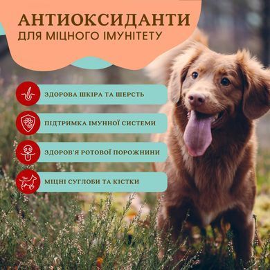 Суперфуд для собак суміш ягід антиоксидантів Antioxidant Berry Granules Natural Dog Company SG-ABEX-228 фото