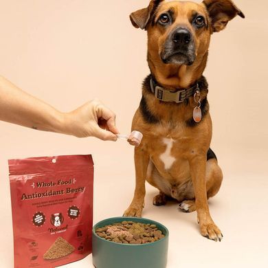 Суперфуд для собак суміш ягід антиоксидантів Antioxidant Berry Granules Natural Dog Company SG-ABEX-228 фото