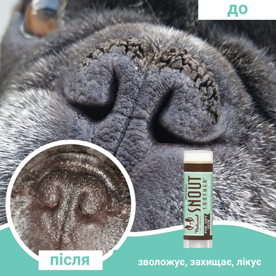 Бальзам для носика Snout Soother Natural Dog Company 4.25мл стік ND-SNSR-01 фото