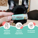Бальзам для носика Snout Soother Natural Dog Company 4.25мл стік ND-SNSR-01 фото 2